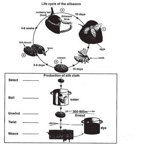 劍橋雅思6寫作test3小作文題目